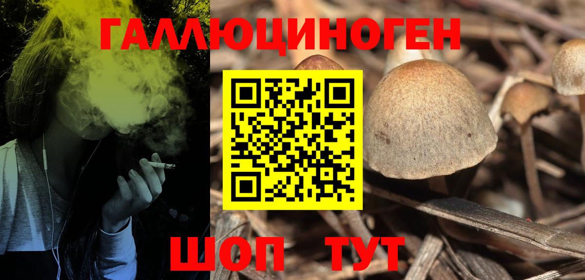 Железногорск  Псилоцибиновые грибы GOLDEN TEACHER  где продают   Галлюциногенные грибы ЛСД  Вход с VPN 
